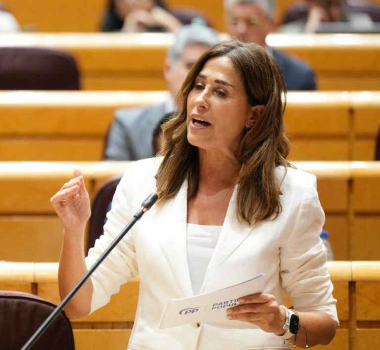 El PP solicita la comparecencia urgente y extraordinaria en el Senado del ministro Puente para que dé explicaciones del caos ferroviario
