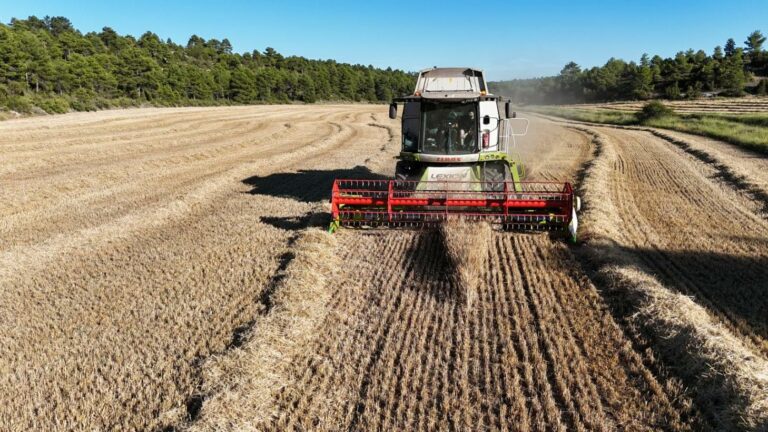 El Gobierno de Castilla-La Mancha publica la nueva resolución que regula la actividad de cosechado y empacado compatible con la prevención de incendios forestales