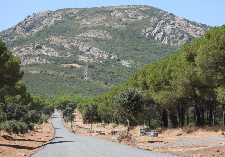 Puertollano: Finaliza la primera fase de arreglo del camino de la Dehesa Boyal con más de 1.000 metros acondicionados