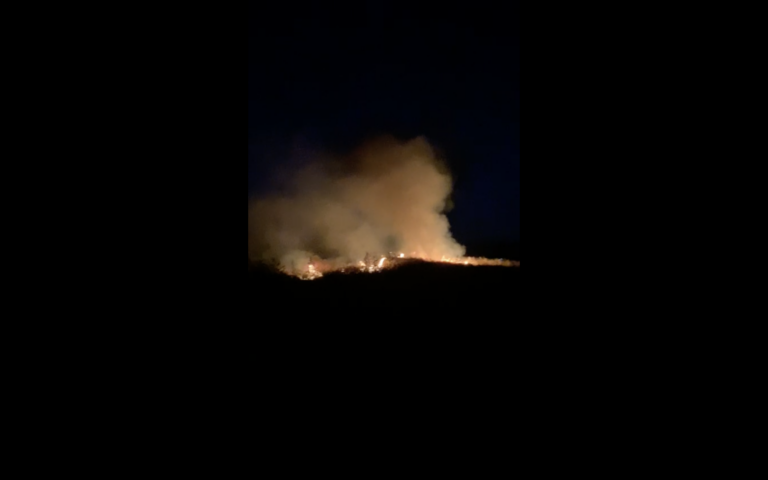 Declarado un incendio en las inmediaciones de  Almodóvar del Campo