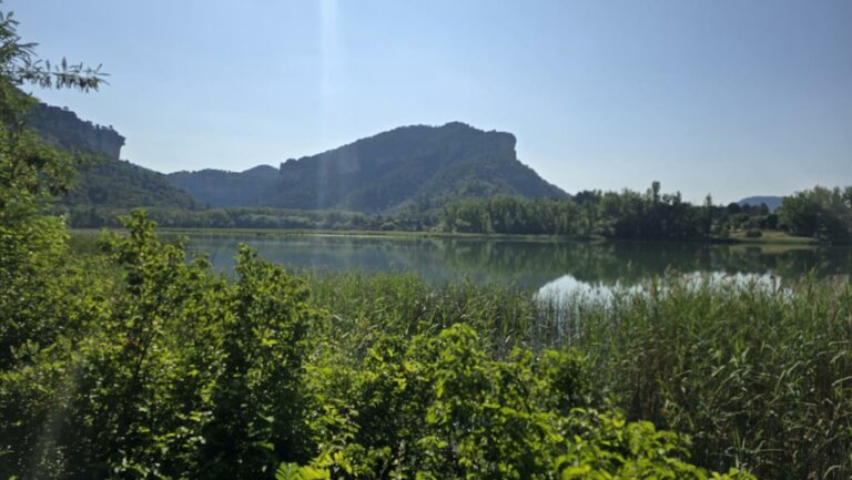 El Gobierno Regional organiza más de 30 actividades gratuitas para descubrir este verano los espacios naturales con el programa ‘Vive tu Espacio”