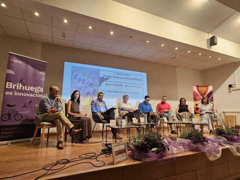 El Gobierno de Castilla-La Mancha ha destinado al cultivo de plantas aromáticas 2,5 millones de euros desde 2017