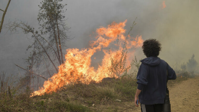 El monte que arde y el verdadero espejo de la España autonómica