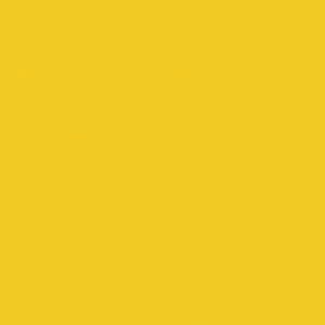 spot_img