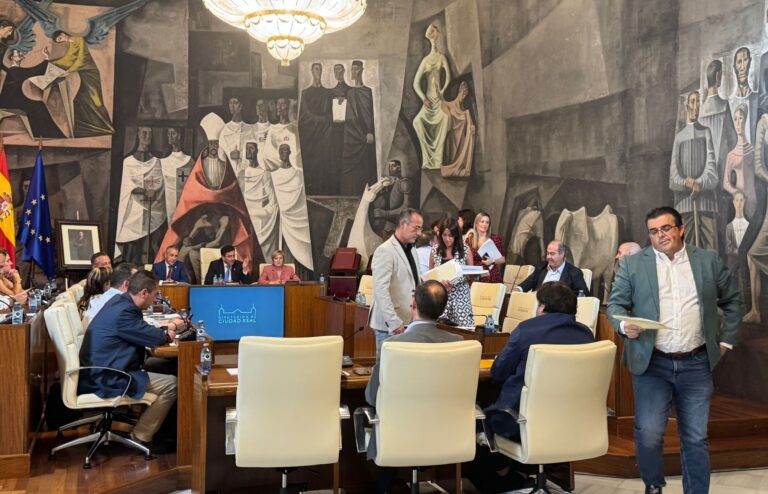 El PSOE abandona el Pleno de la Diputación de Ciudad Real denunciando «insultos» hacia su portavoz en un debate bronco