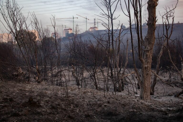 AEMET avisa de posibles tormentas secas en próximos días, que hacen que el fuego se origine y se propague en poco tiempo