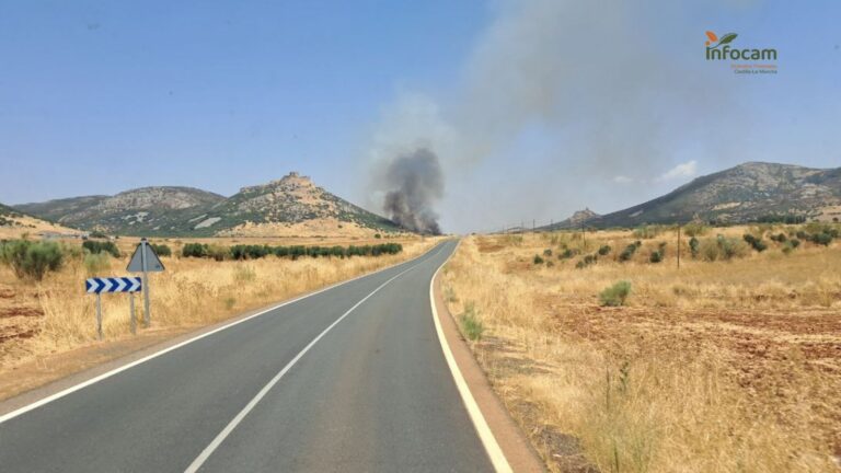 En nivel 1 un fuego en Aldea del Rey por afección a bienes de naturaleza no forestal y corte de CR-504