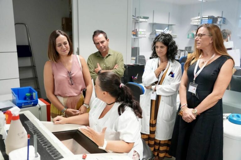Parapléjicos investiga con polímeros de elastina para limitar los daños medulares