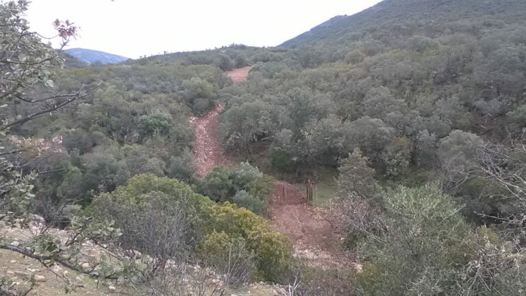 Cuando la vida de los vecinos depende de una vía pecuaria