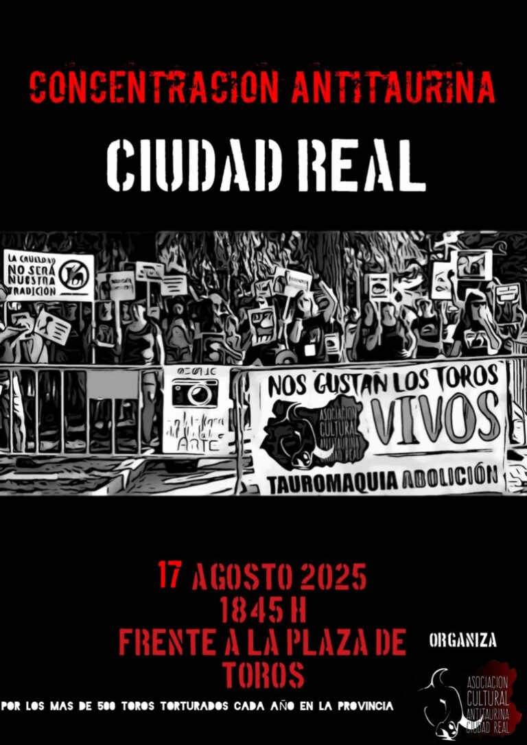 Convocada concentración antitaurina frente la Plaza de Toros de Ciudad Real el próximo 17 de agosto