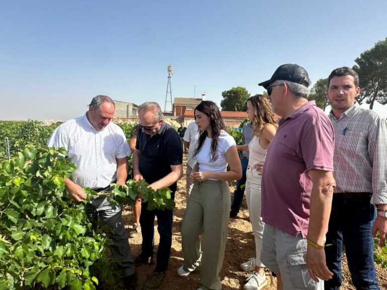 El Gobierno de Castilla-La Mancha ha destinado en la última década más de 70 millones para apoyar la contratación de seguros agrarios