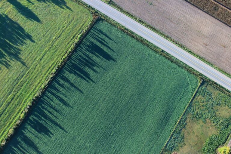 El Gobierno regional adquiere más de 24.700 documentos fotográficos de Castilla-La Mancha