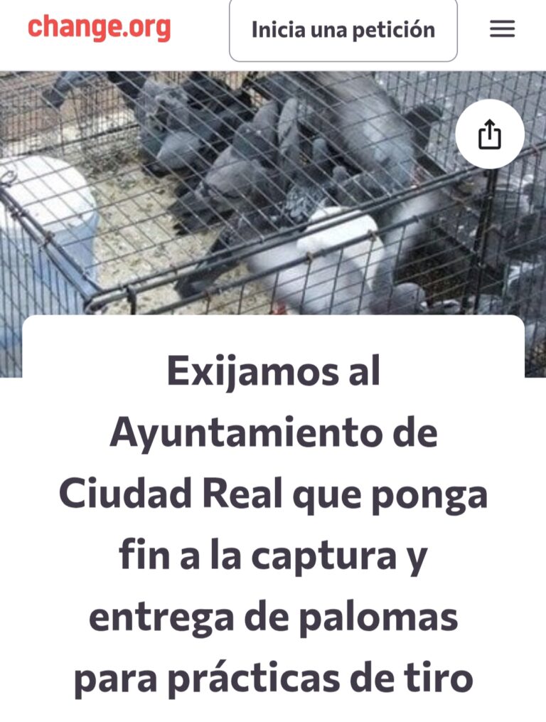 Entregan en el Ayuntamiento de Ciudad Real más de 3.200 firmas exigiendo un cambio de la gestión de palomas
