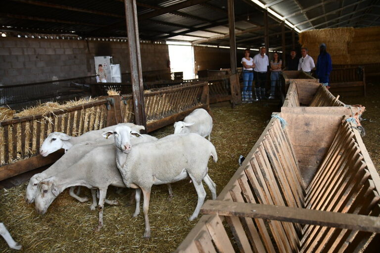 El Gobierno regional impulsa la Escuela de Pastores para garantizar la continuidad del sector y fijar población en el medio rural