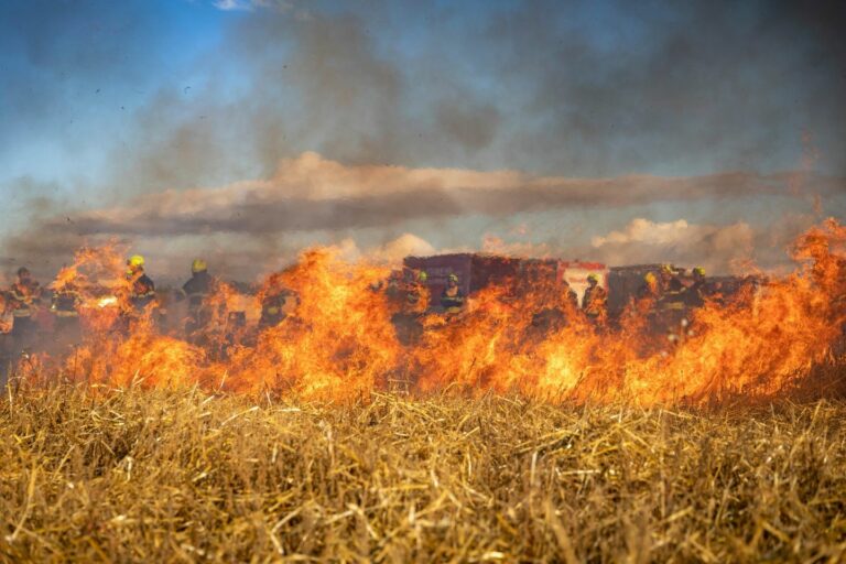 AEGEX lanza herramienta digital para propietarios afectados por los incendios: mapa interactivo con Catastro y zonas quemadas
