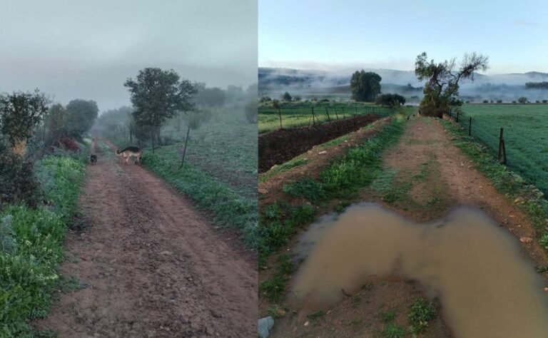 El PSOE de Guadalmez propone crear un listado de caminos y priorizar el arreglo de los más urgentes