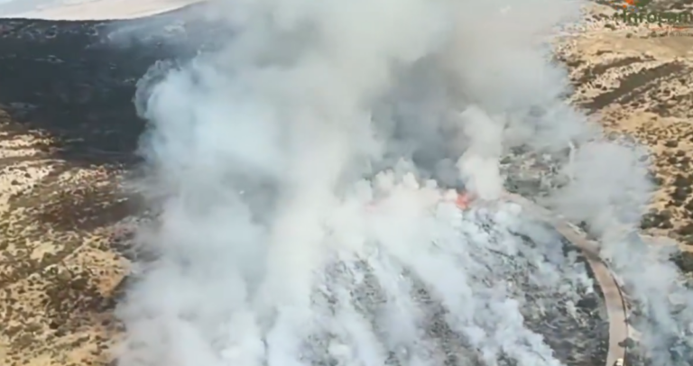 Puertollano: Declarado un incendio en las inmediaciones del Polígono La Nava