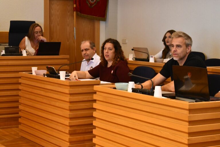 El PSOE acusa a Cañizares y el PP de bloquear en el Pleno su propuesta para mejorar calles y aceras este año