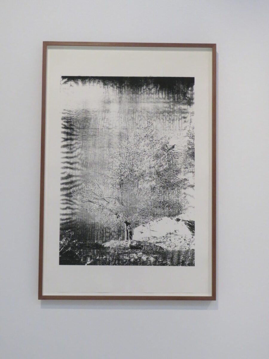 En la Real Academia de Bellas Artes de San Fernando (RABASF): Exposición Azucena Vieites Premio Nacional de Arte Gráfico