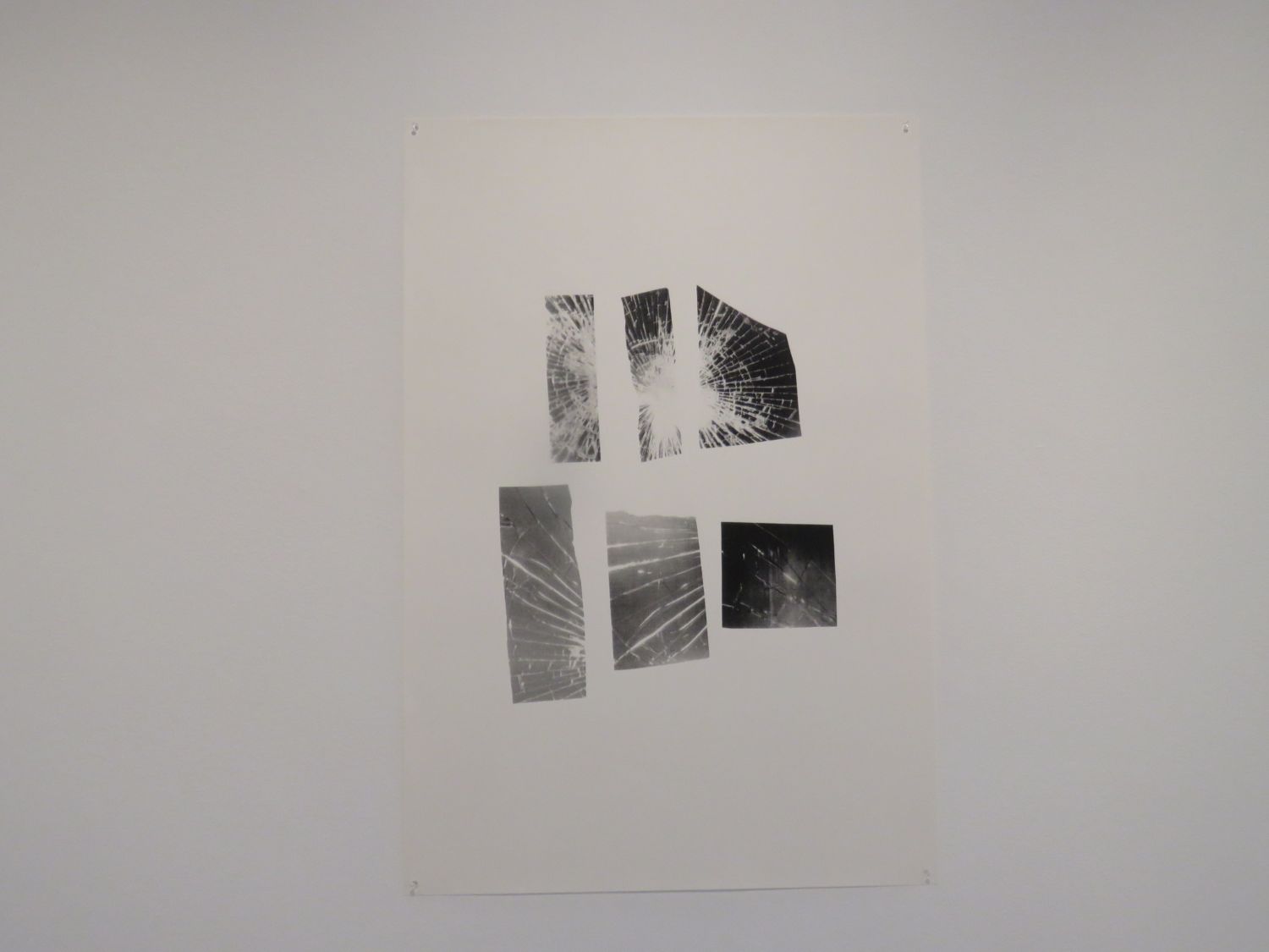 En la Real Academia de Bellas Artes de San Fernando (RABASF): Exposición Azucena Vieites Premio Nacional de Arte Gráfico
