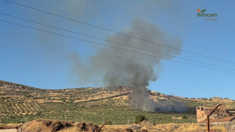 Puertollano: Declarado un nuevo incendio junto a las vías del AVE frente a la antigua SMMP