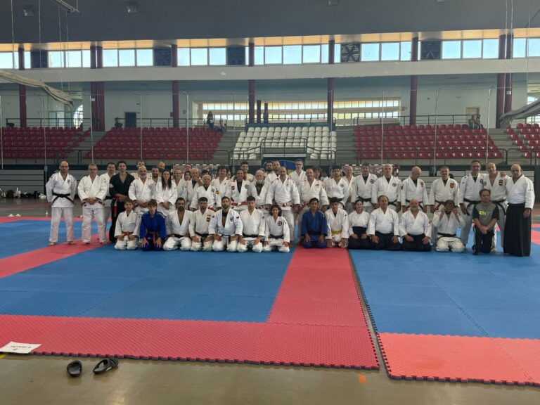 Puertollano: Récord conseguido tras realizar 25 horas de clases de artes marciales ininterrumpidas