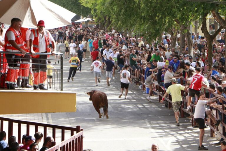 Almodóvar del Campo culmina sus tradicionales Encierros taurinos