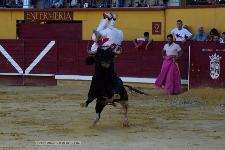 El recortador Jamal Che sufre una fuerte cogida en Almodóvar de Campo