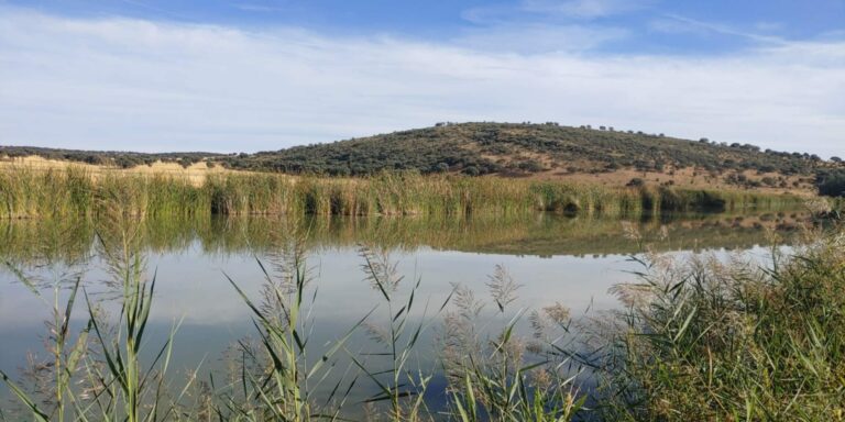 Fuerte olor a metano en la laguna de la «Patata» en Porzuna