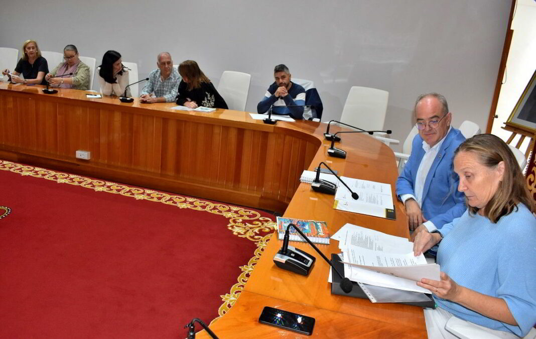 Consejo Local de Cooperación de Puertollano