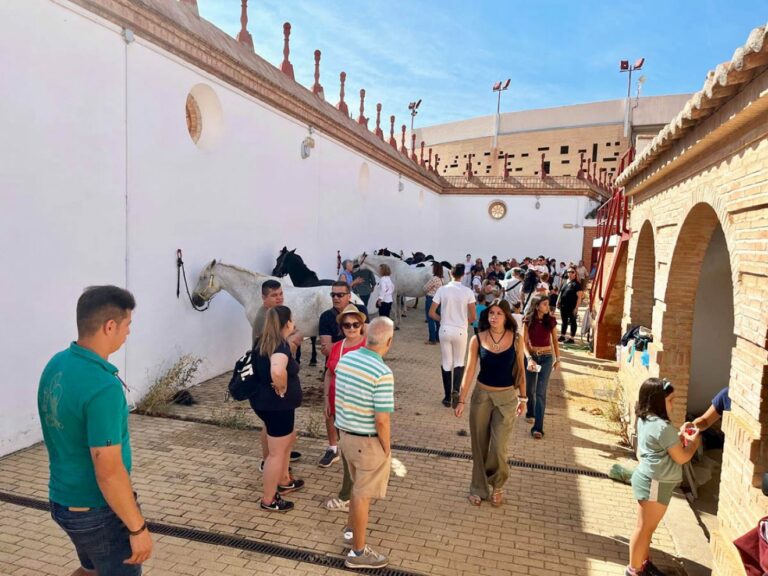Puertollano: Una treintena de jinetes muestran su talento ecuestre en el II Concurso de Doma