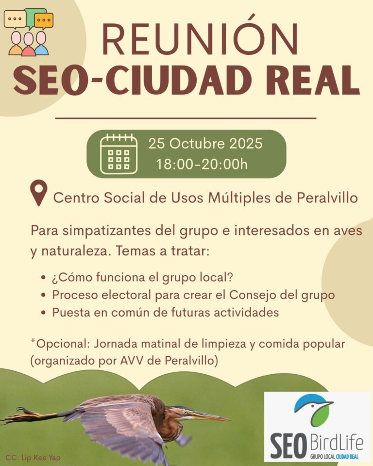 SEO/BirdLife Ciudad Real convoca a socios y simpatizantes a una reunión informativa el 25 de octubre