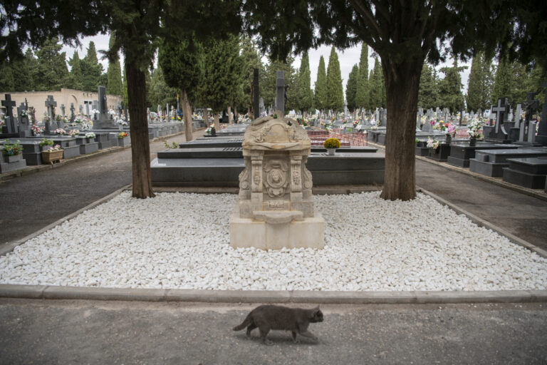 La bella Apolonia encuentra su sitio en el Cementerio de Ciudad Real