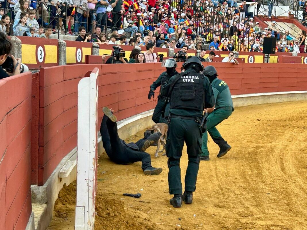 Exhibición de medios de la Guardia Civil de Ciudad Real