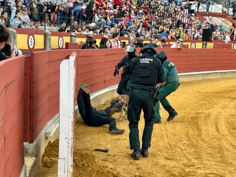 Más de 3.500 alumnos de Ciudad Real asisten a la exhibición de medios de la Guardia Civil