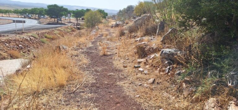 El PSOE de Moral de Calatrava critica el deterioro de la Vía Verde del Molino