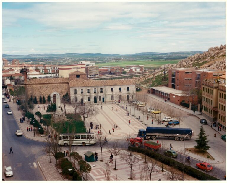 Puertollano: Adiós al viejo cedro que nos vio vivir y morir