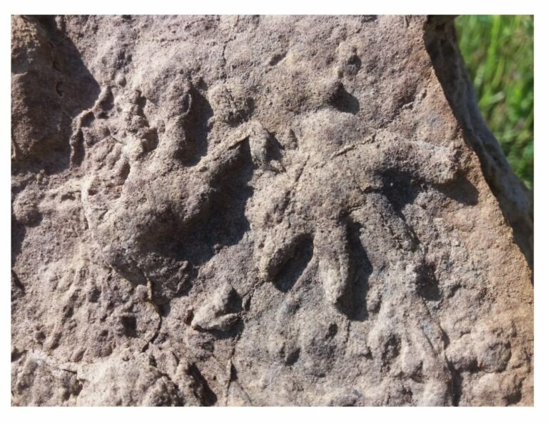 Tapar para proteger, la solución de la Junta que atenta contra el patrimonio de Puertollano