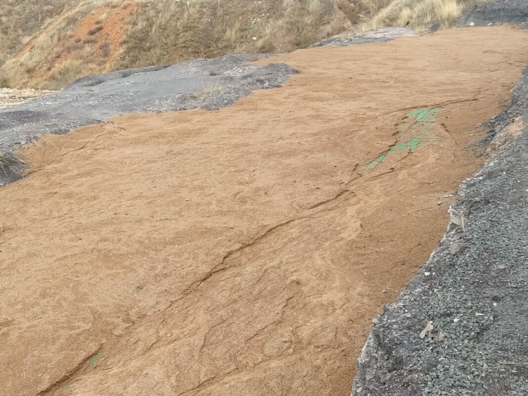 WhatsApp Image 2025-10-31 at 19.50.06