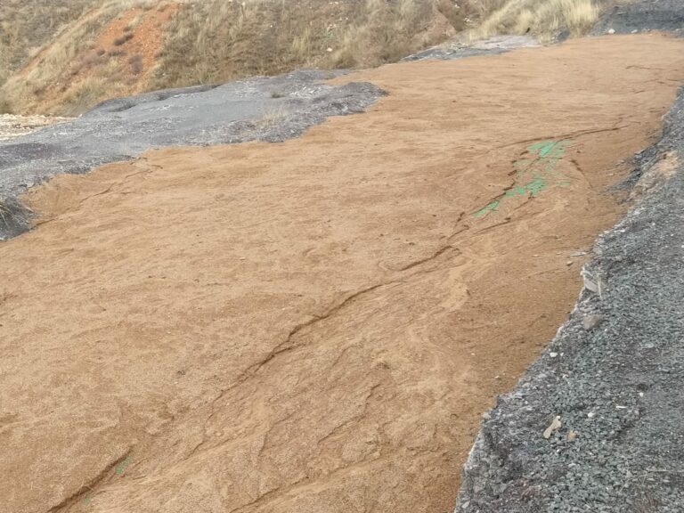 Técnicos alertan de «daños irreversibles» causados por la cubierta del Monumento del Carbonífero de Puertollano tras las lluvias