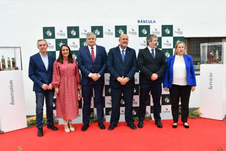 Castilla-La Mancha demanda un programa específico que incorpore las necesidades del sector del olivo en la nueva PAC