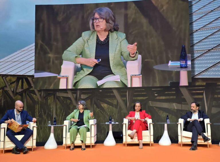 El Gobierno regional alegará a la propuesta inicial de planificación eléctrica a 2030 del MITERD para que se incluyan todas las demandas de Castilla-La Mancha