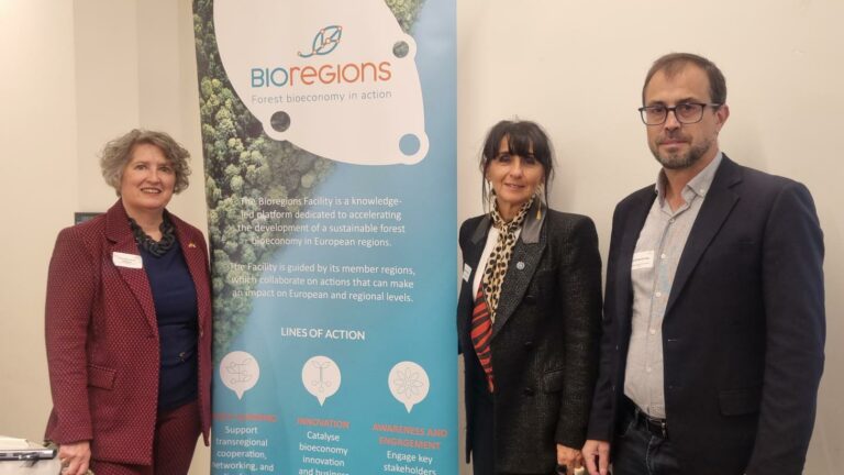 El Gobierno de Castilla-La Mancha presenta en Bruselas su ‘Estrategia regional de Bioeconomía’ y destaca el papel clave de los recursos forestales en la transición ecológica