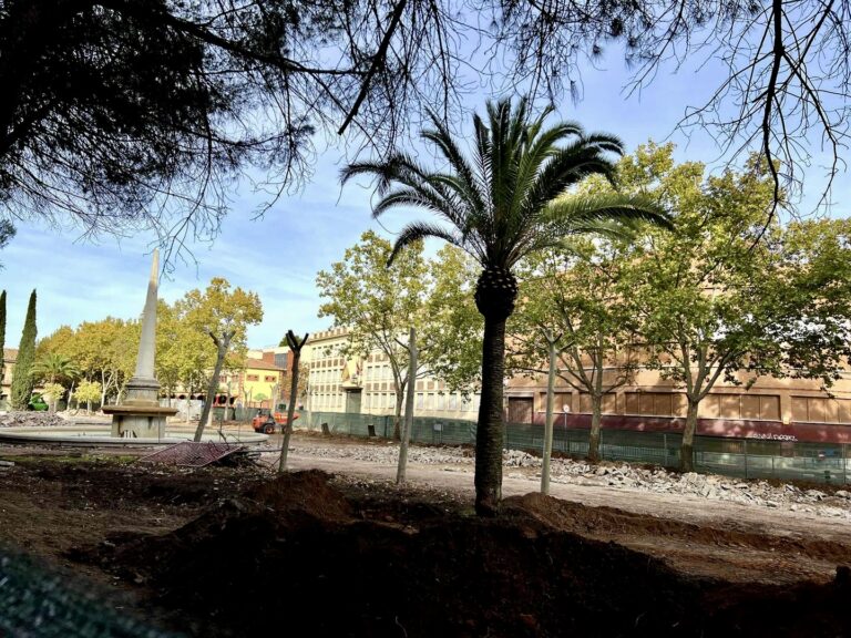 Los abuelos de El Bosque