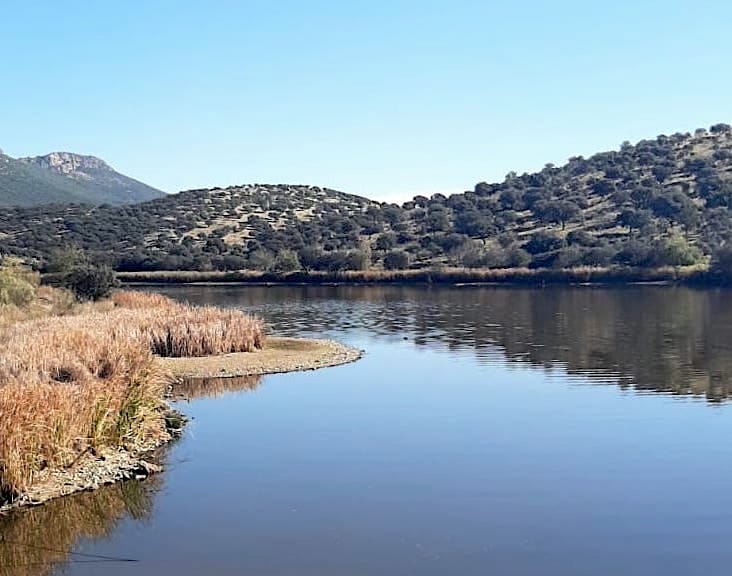 Pantano de Alamillo