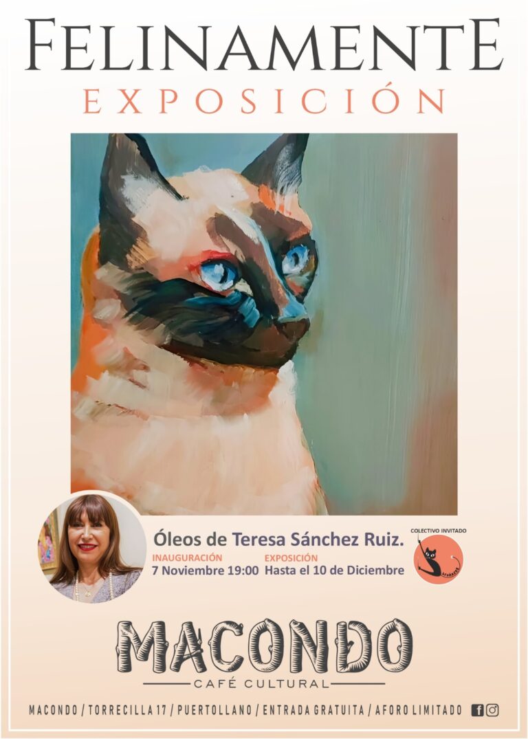 Teresa Sánchez Ruiz expone su obra pictórica «Felinamente» en la Galería ‘Loli Buendía’ de Macondo Café Cultural de Puertollano