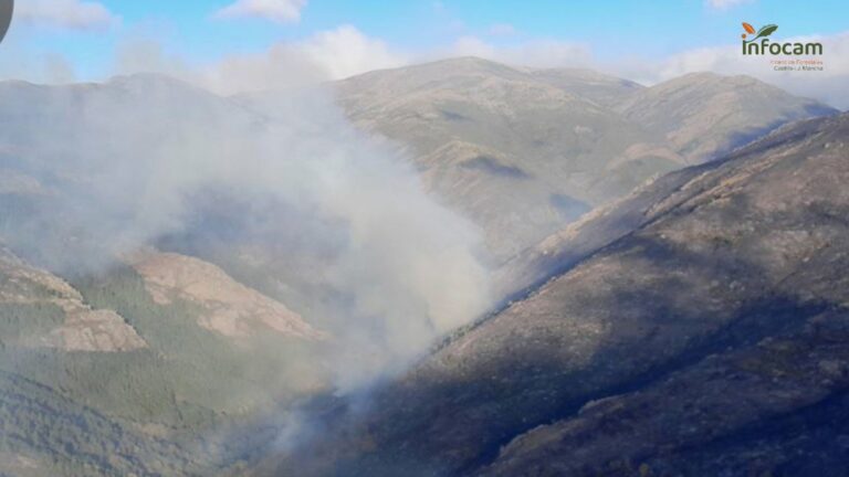 Hasta 278 incendios de C-LM este año fueron intencionados y 26 estuvieron causados por colillas y fumadores