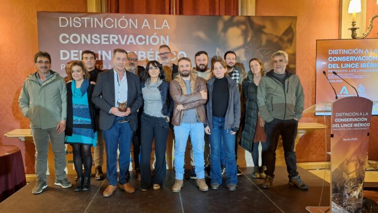 El Gobierno regional pone en valor el imprescindible trabajo de los propietarios de fincas privadas en la exitosa recuperación del lince ibérico en Castilla-La Mancha