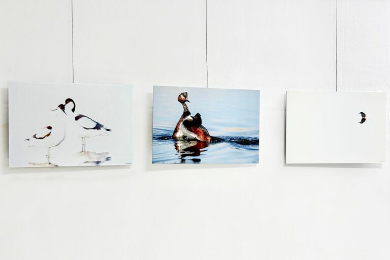 El Museo AVAN de Viso del Marqués clausura la exposición “Posados” del fotógrafo Aníbal de la Beldad el próximo sábado 29 de noviembre