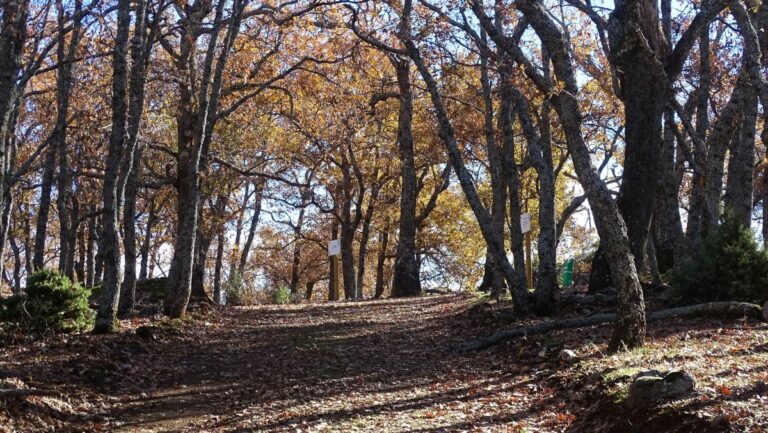 Valle de Alcudia: Ruta por la Hoya del Prior y el Collado del Viento
